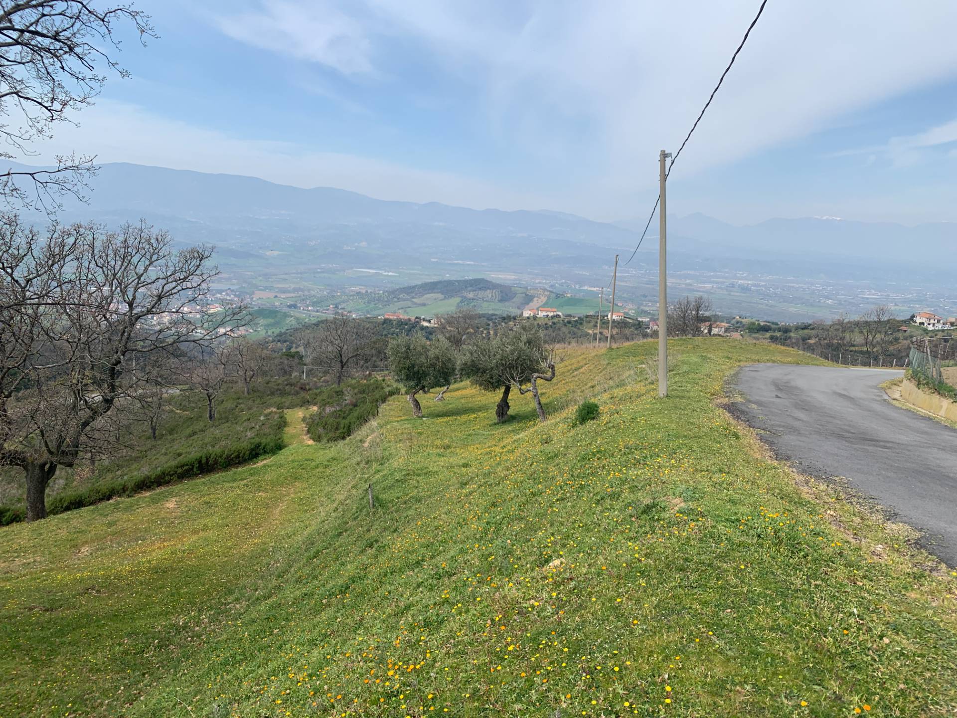 Terreno Agricolo in vendita a Luzzi