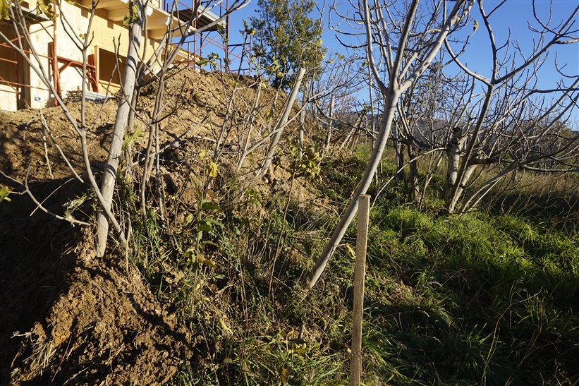 Terreno edificabile in vendita a Casali del Manco