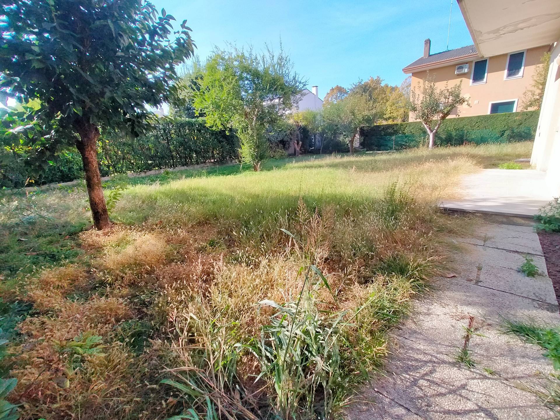 Appartamento in affitto a Treviso, Selvana