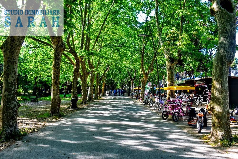 Villette a schiera in vendita a Viareggio, Darsena / Campo D'aviazione