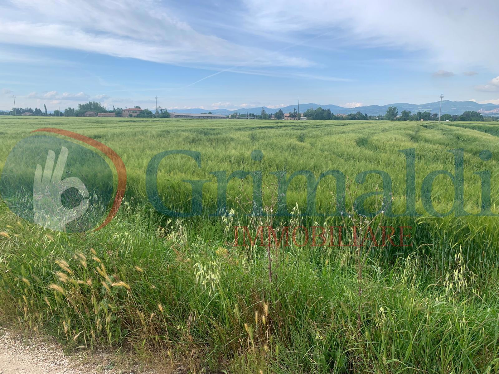 Quadrilocale in vendita a Bettona