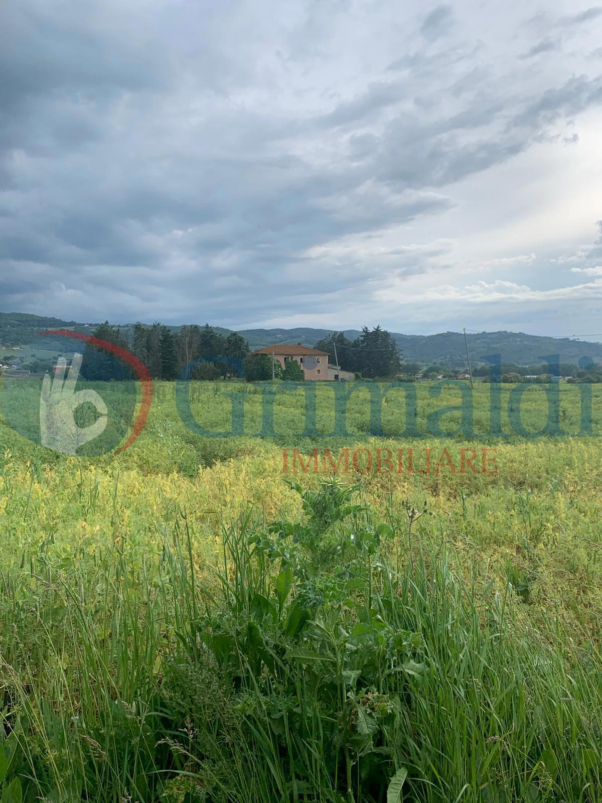 Quadrilocale in vendita a Bettona