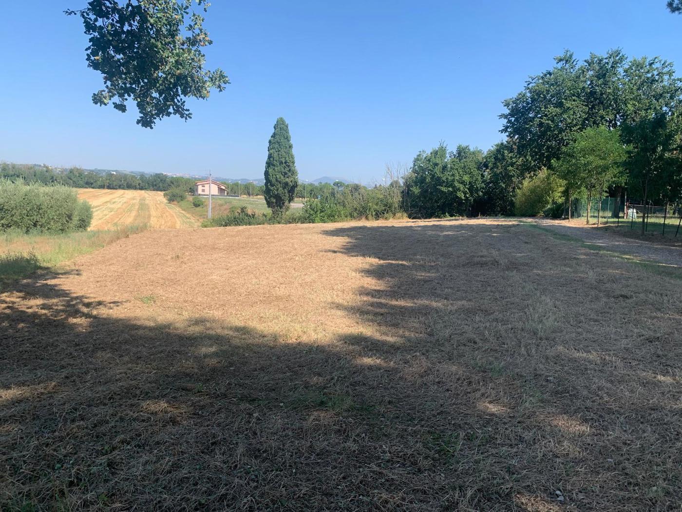 Terreno Agricolo in vendita a Bastia Umbra