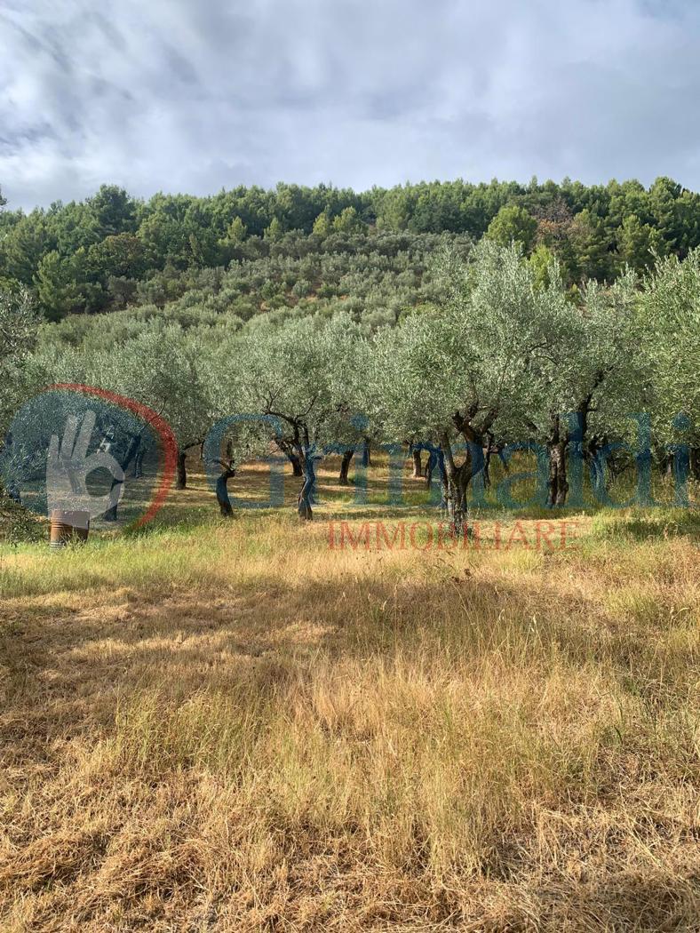 Terreno Edificabile in vendita a Foligno