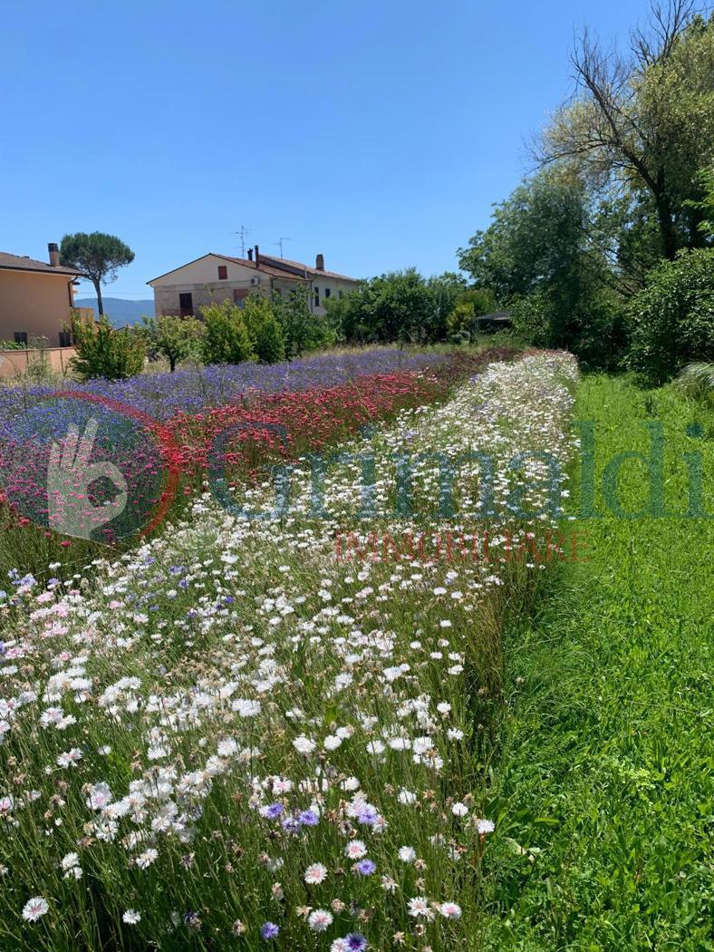 Quadrilocale in vendita a Spello