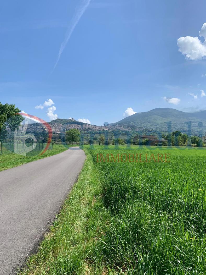 Terreno Agricolo in vendita a Assisi