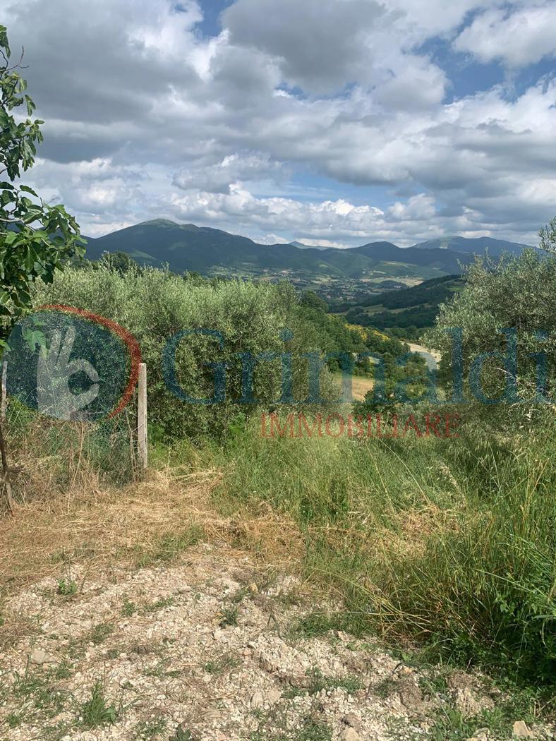 immagine annuncio 6 di 9