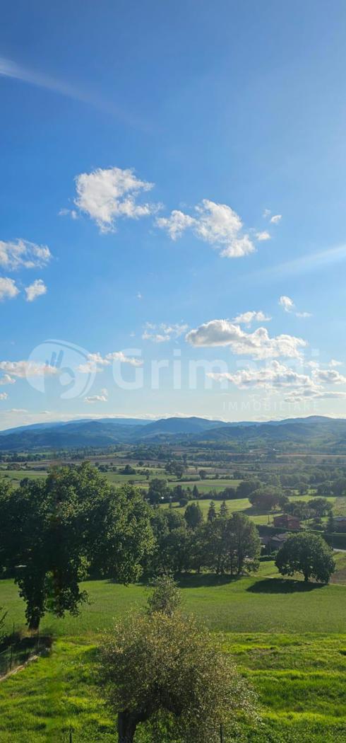 Terreno Agricolo in vendita a Gualdo Tadino