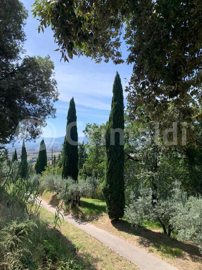 Trilocale in affitto a Assisi