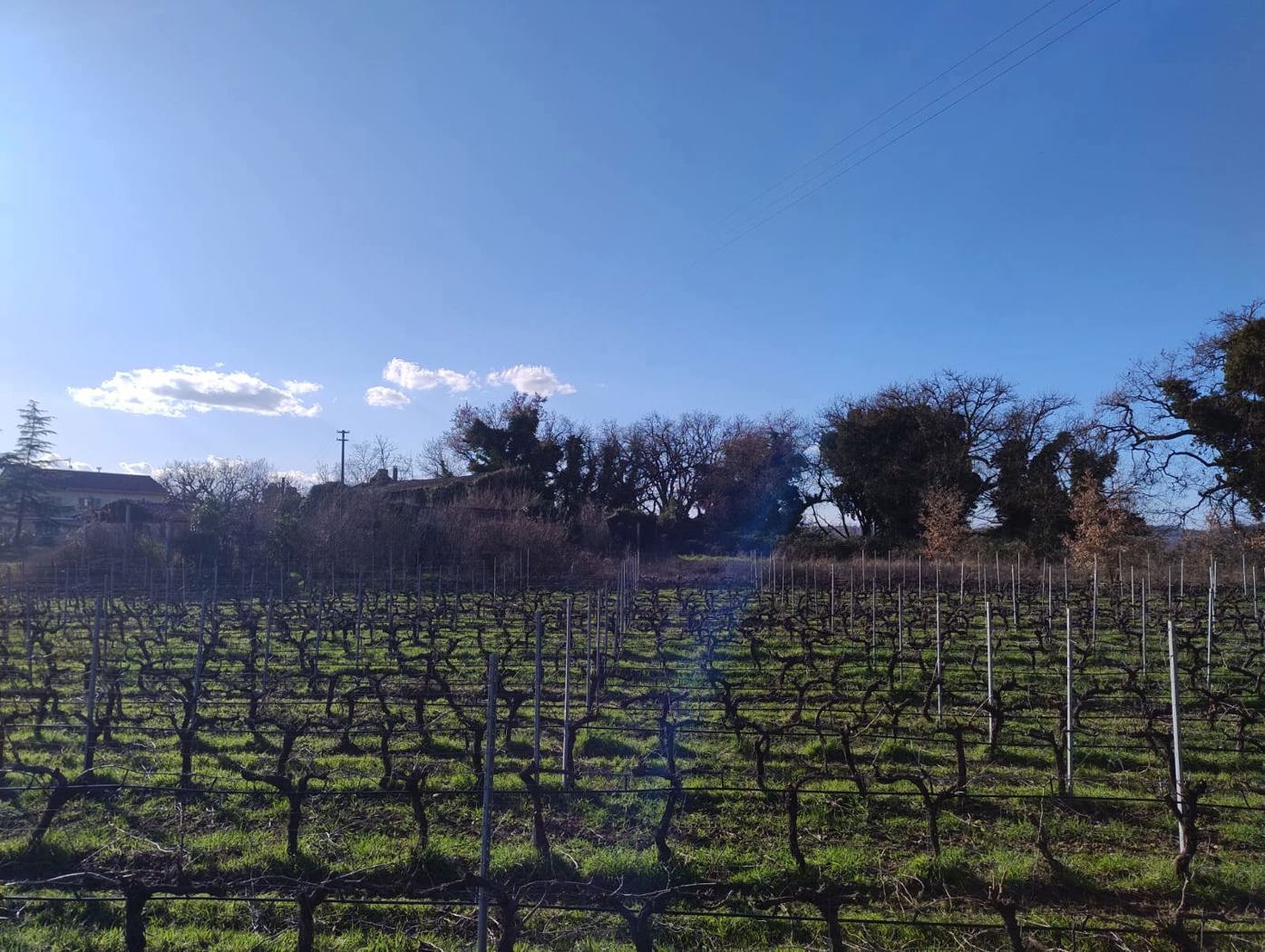 Rustico in vendita a Torgiano