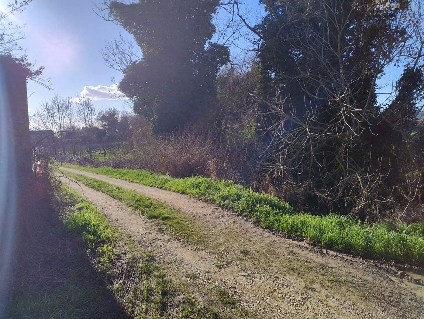 Rustico in vendita a Torgiano