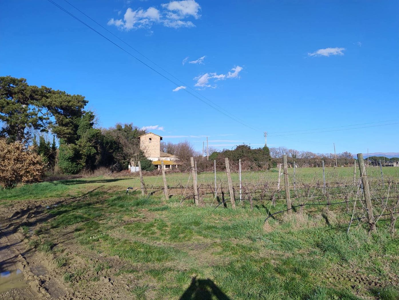 Rustico in vendita a Torgiano