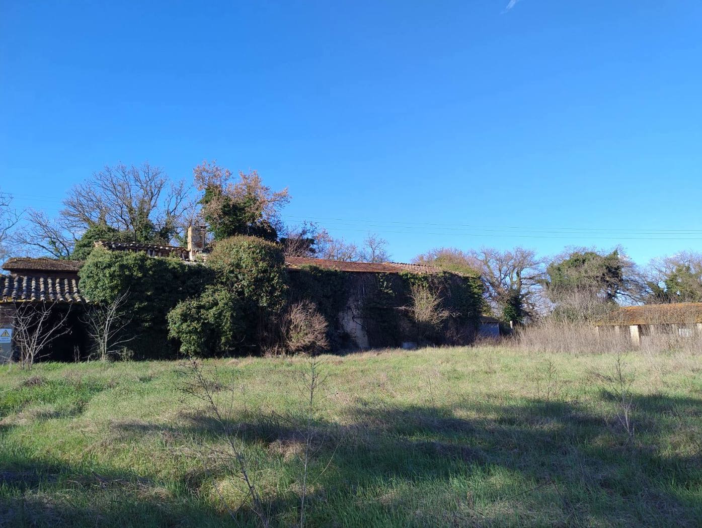 Rustico in vendita a Torgiano