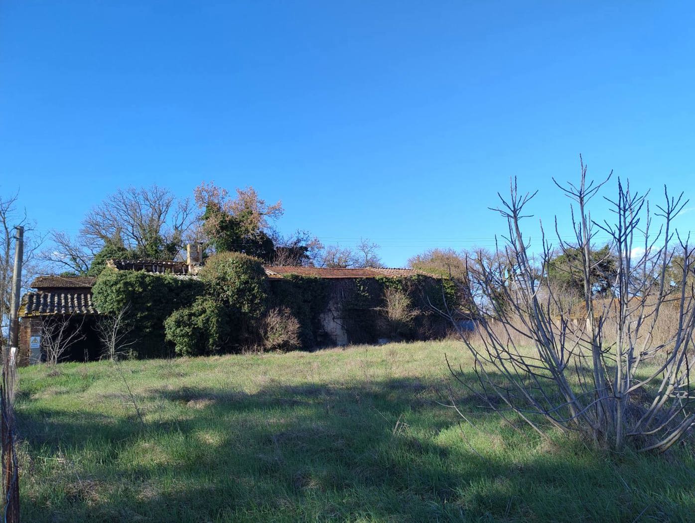 Rustico in vendita a Torgiano