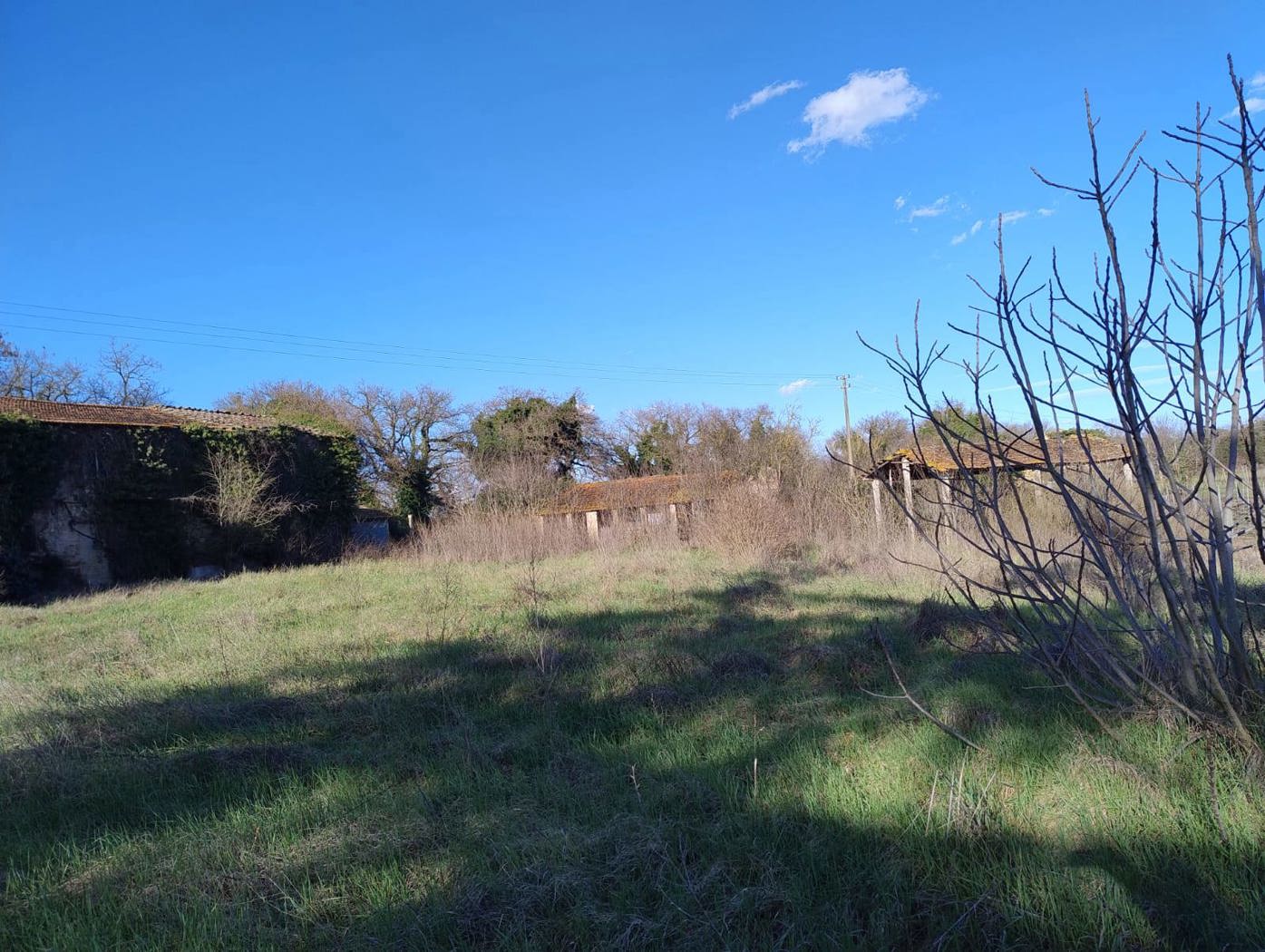 Rustico in vendita a Torgiano