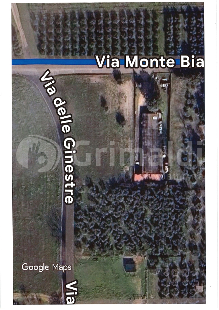 Terreno Edificabile in vendita a Trevi