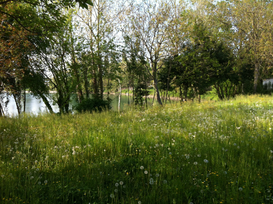 Terreno edificabile in vendita a Silea
