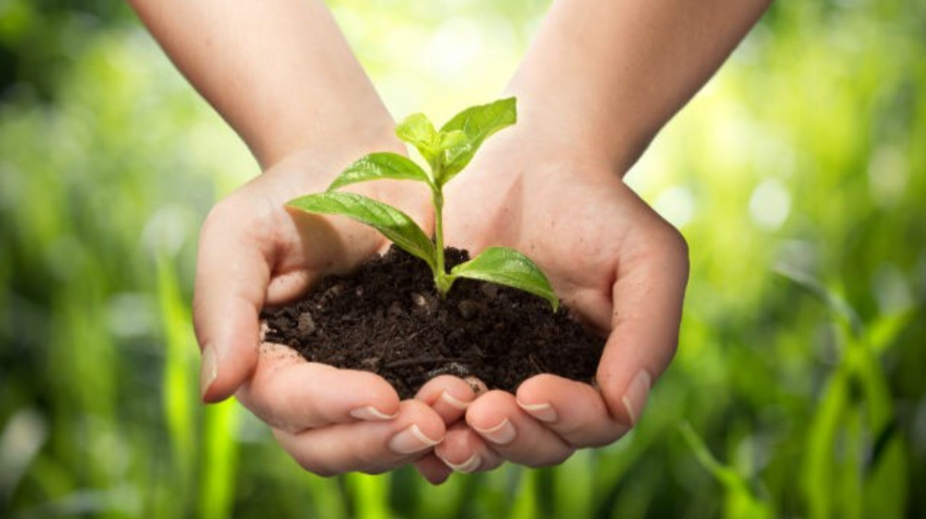 Terreno Agricolo in vendita a Casale sul Sile