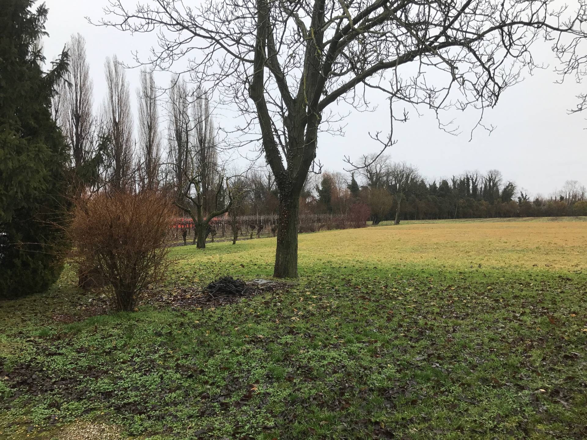 Terreno Agricolo in vendita a Carbonera, Vascon