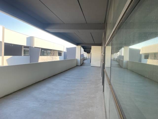 Negozio in affitto a Noventa Padovana, Oltre Brenta