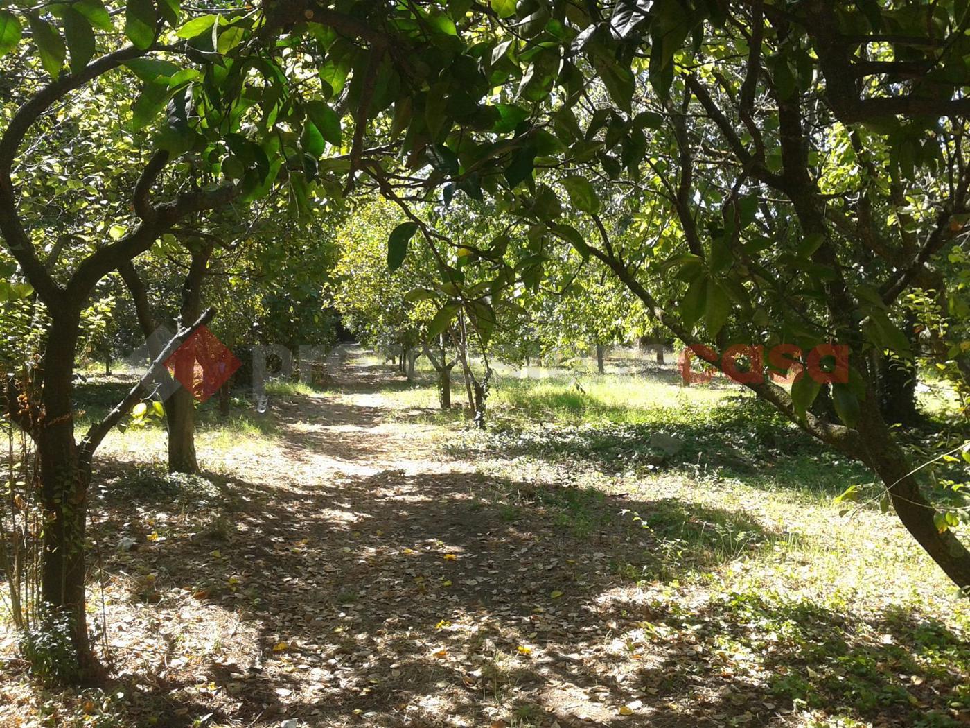 Terreno Agricolo in vendita a San Giorgio a Cremano