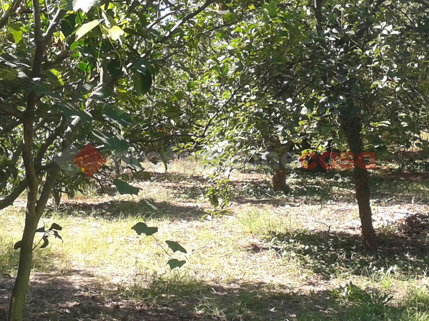 Terreno Agricolo in vendita a San Giorgio a Cremano
