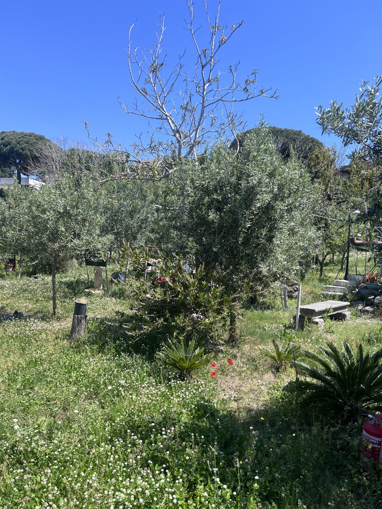 Terreno Agricolo in vendita a Ercolano