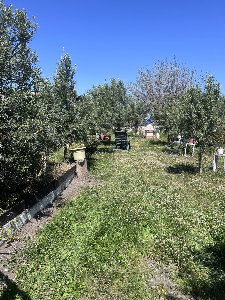 Terreno Agricolo in vendita a Ercolano