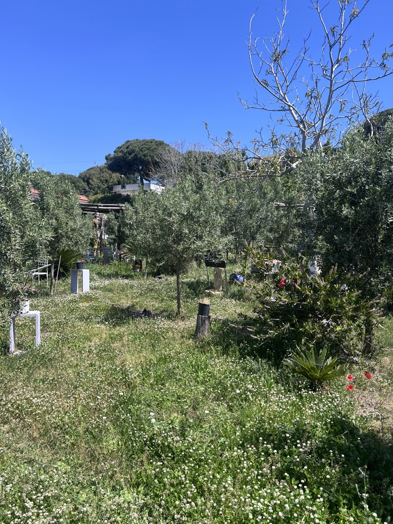 Terreno Agricolo in vendita a Ercolano