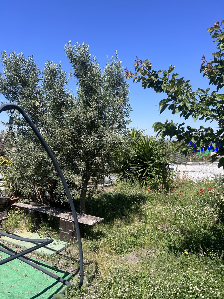 Terreno Agricolo in vendita a Ercolano