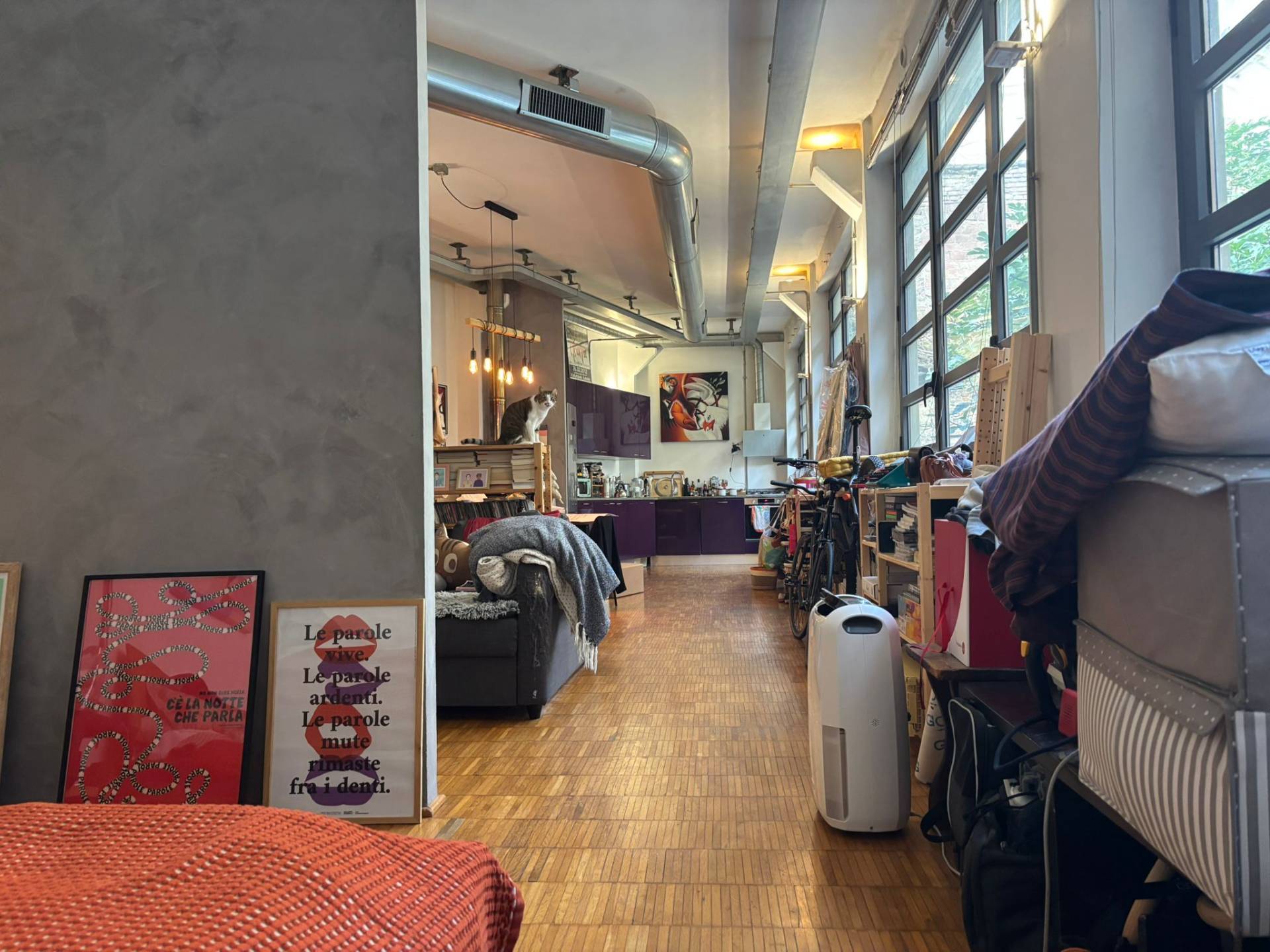 Loft in affitto a Torino, San Donato