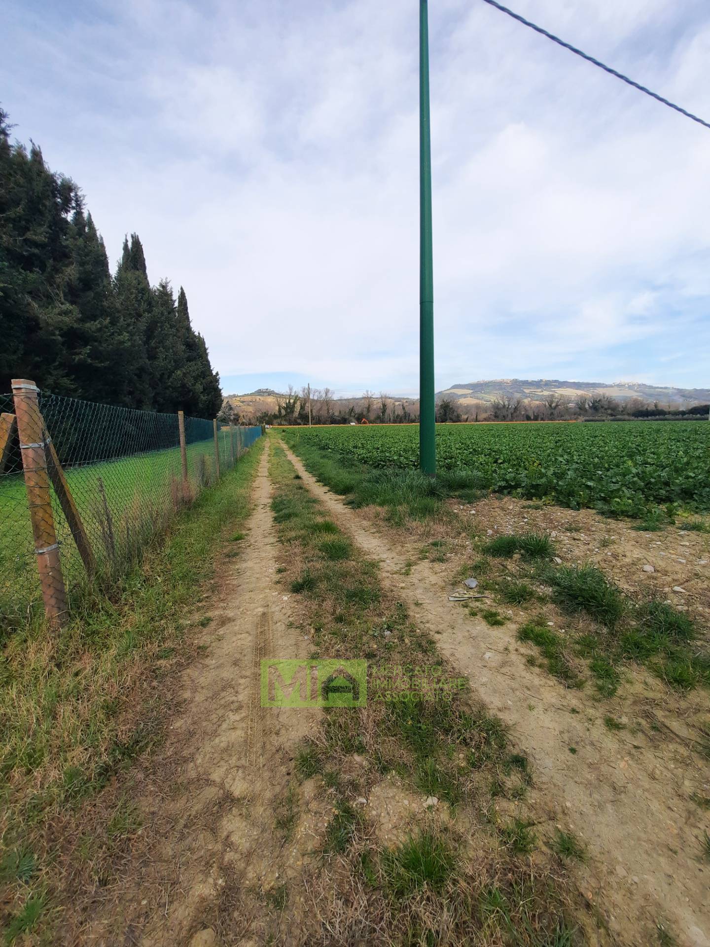 Terreno Agricolo in vendita a Montefiore dell'Aso, Aso