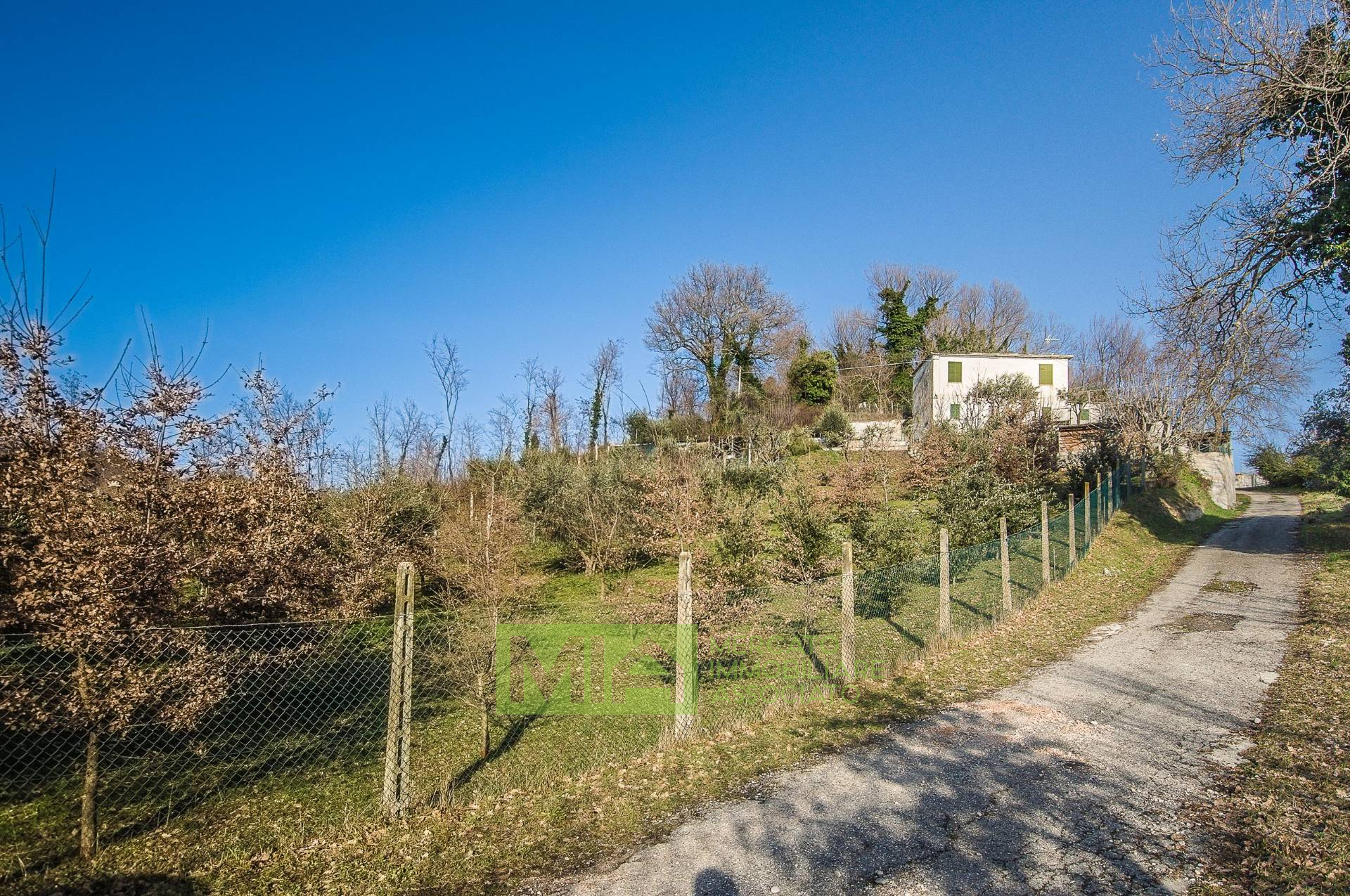immagine annuncio 2 di 6