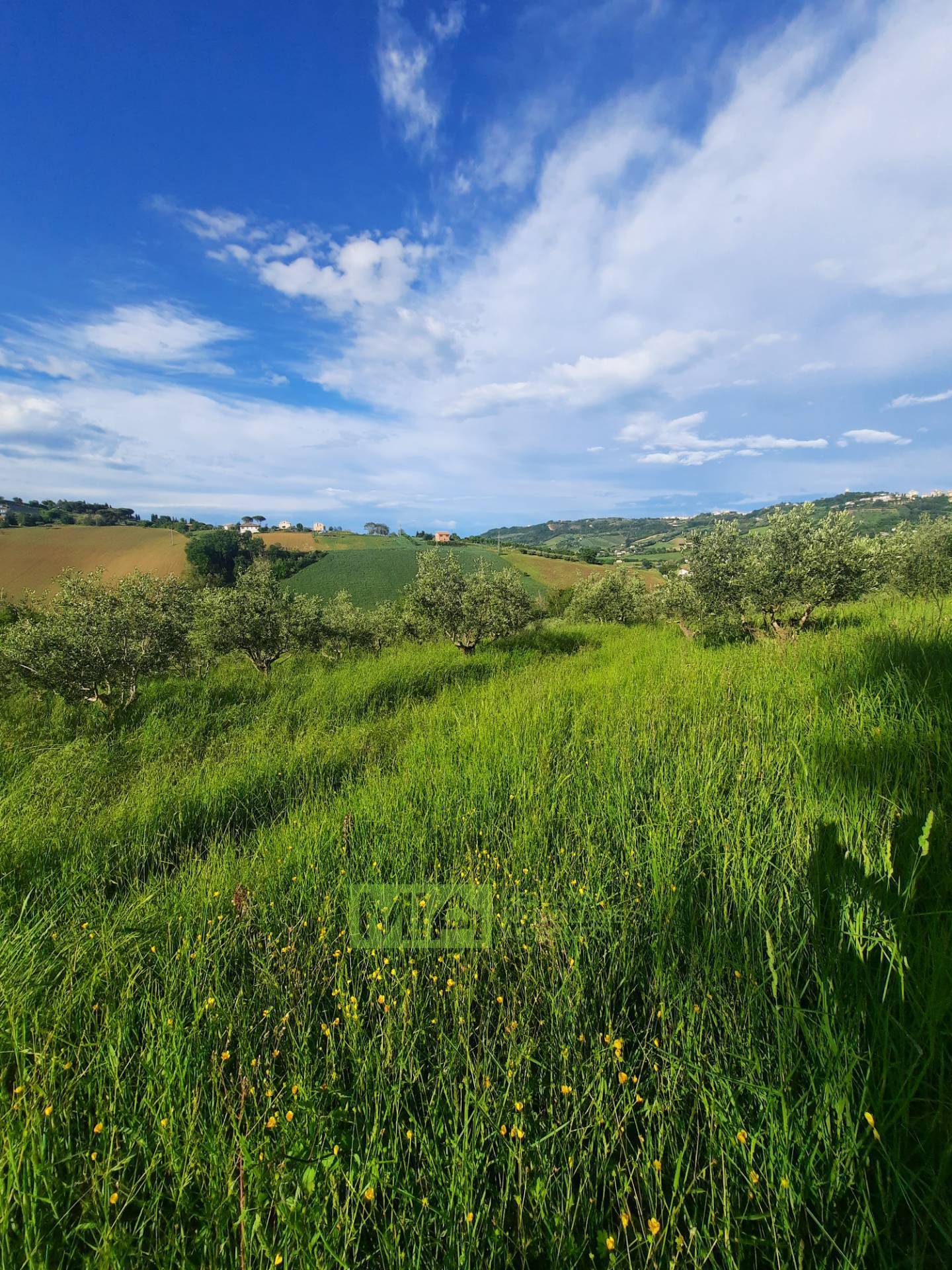 Terreno Agricolo in vendita a Montegranaro, Santa Leandra