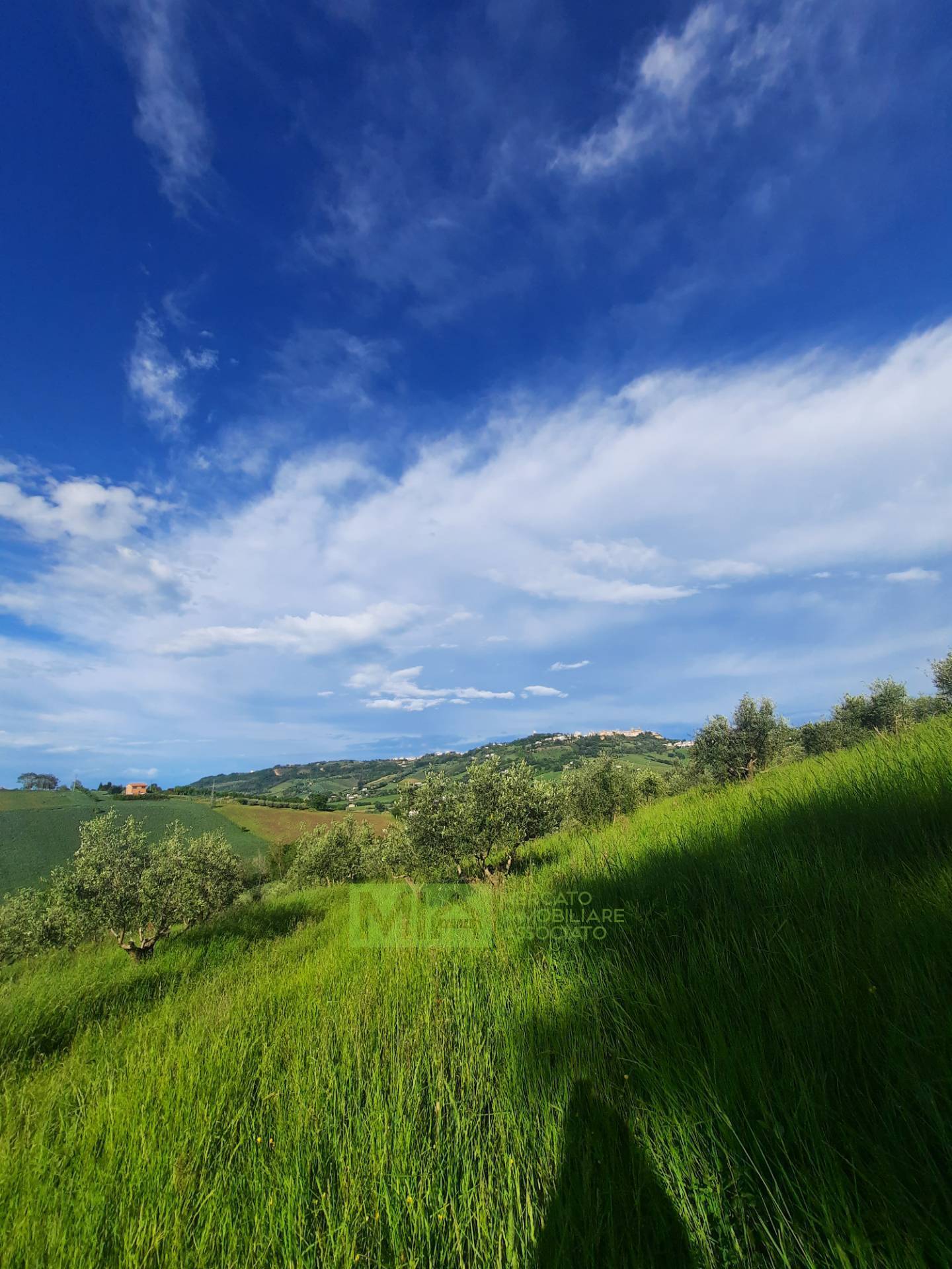 Terreno Agricolo in vendita a Montegranaro, Santa Leandra