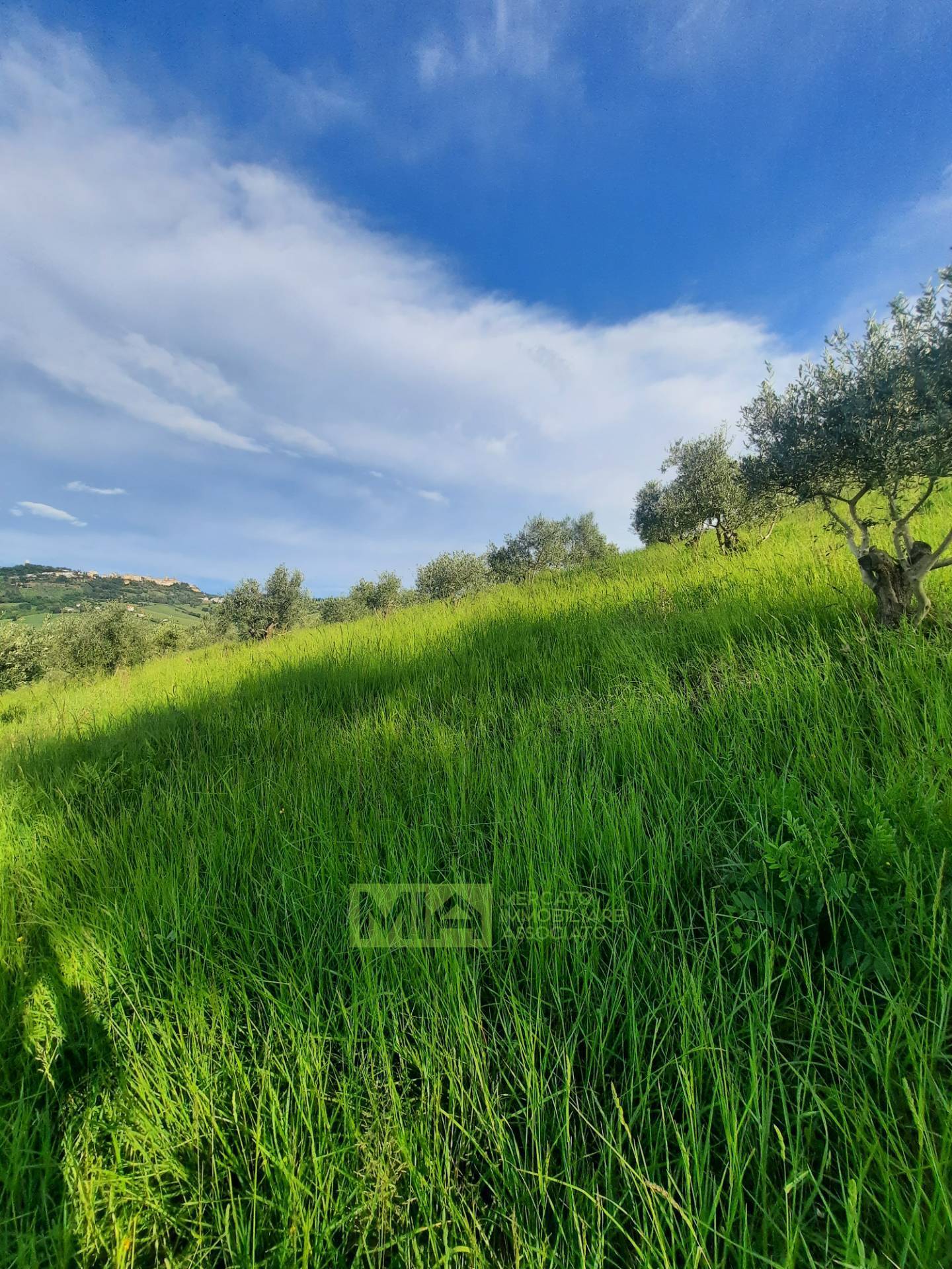 Terreno Agricolo in vendita a Montegranaro, Santa Leandra