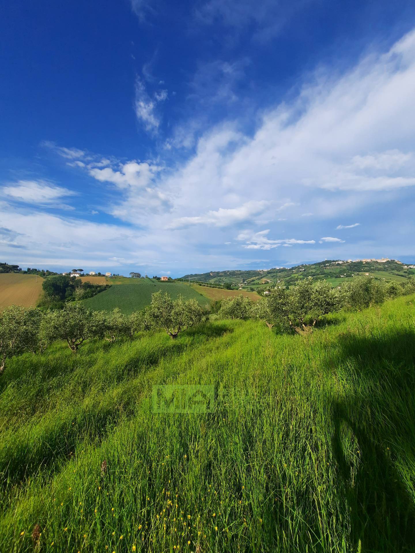 Terreno Agricolo in vendita a Montegranaro, Santa Leandra