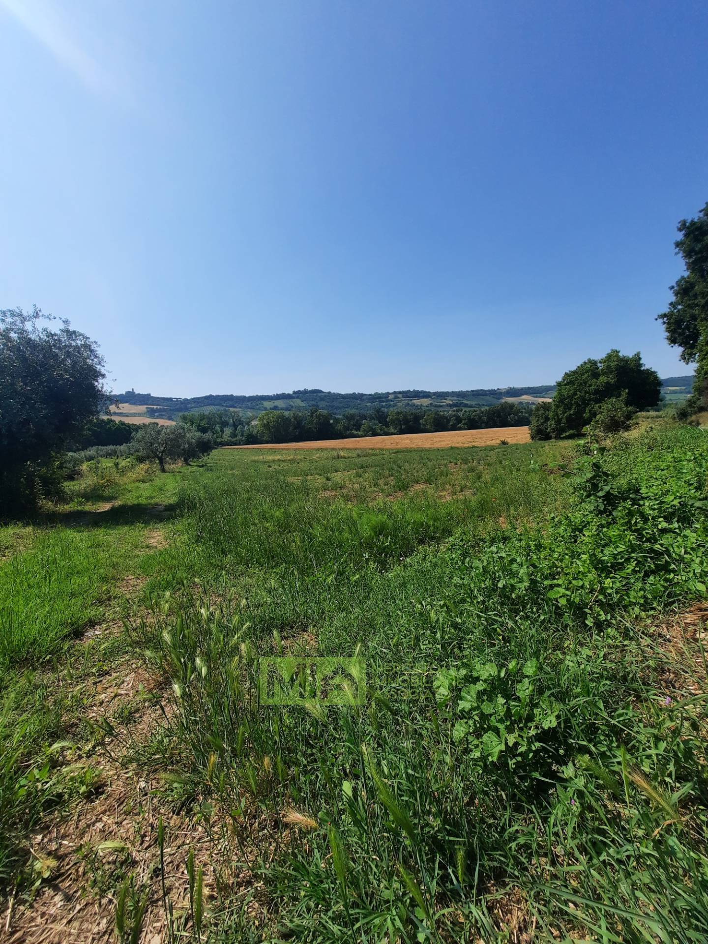 Terreno Agricolo in vendita a Altidona, Campagna