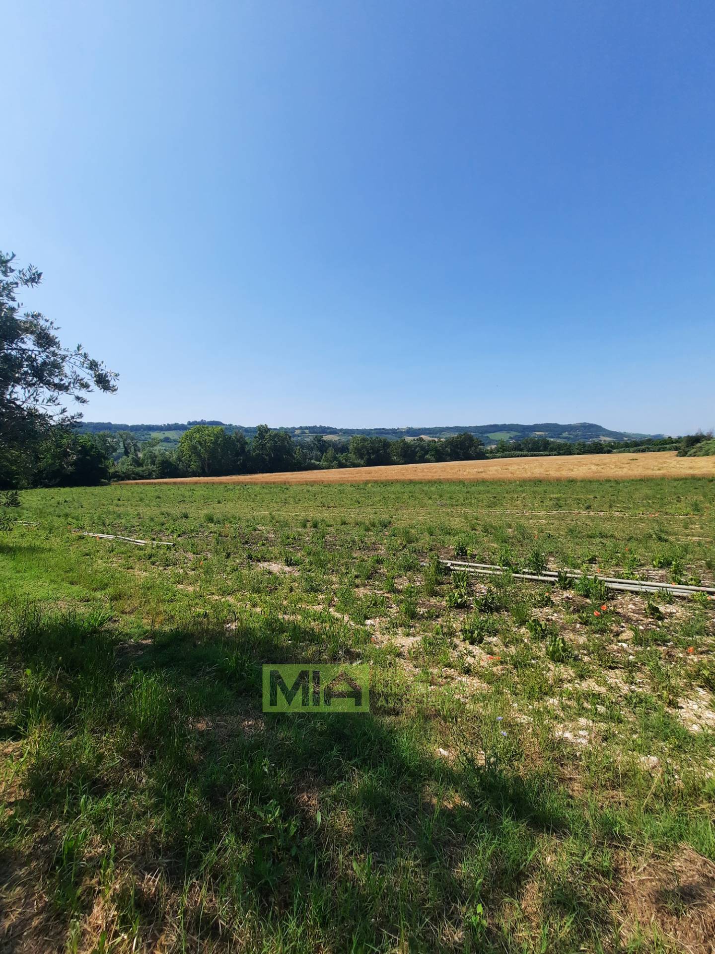 Terreno Agricolo in vendita a Altidona, Campagna