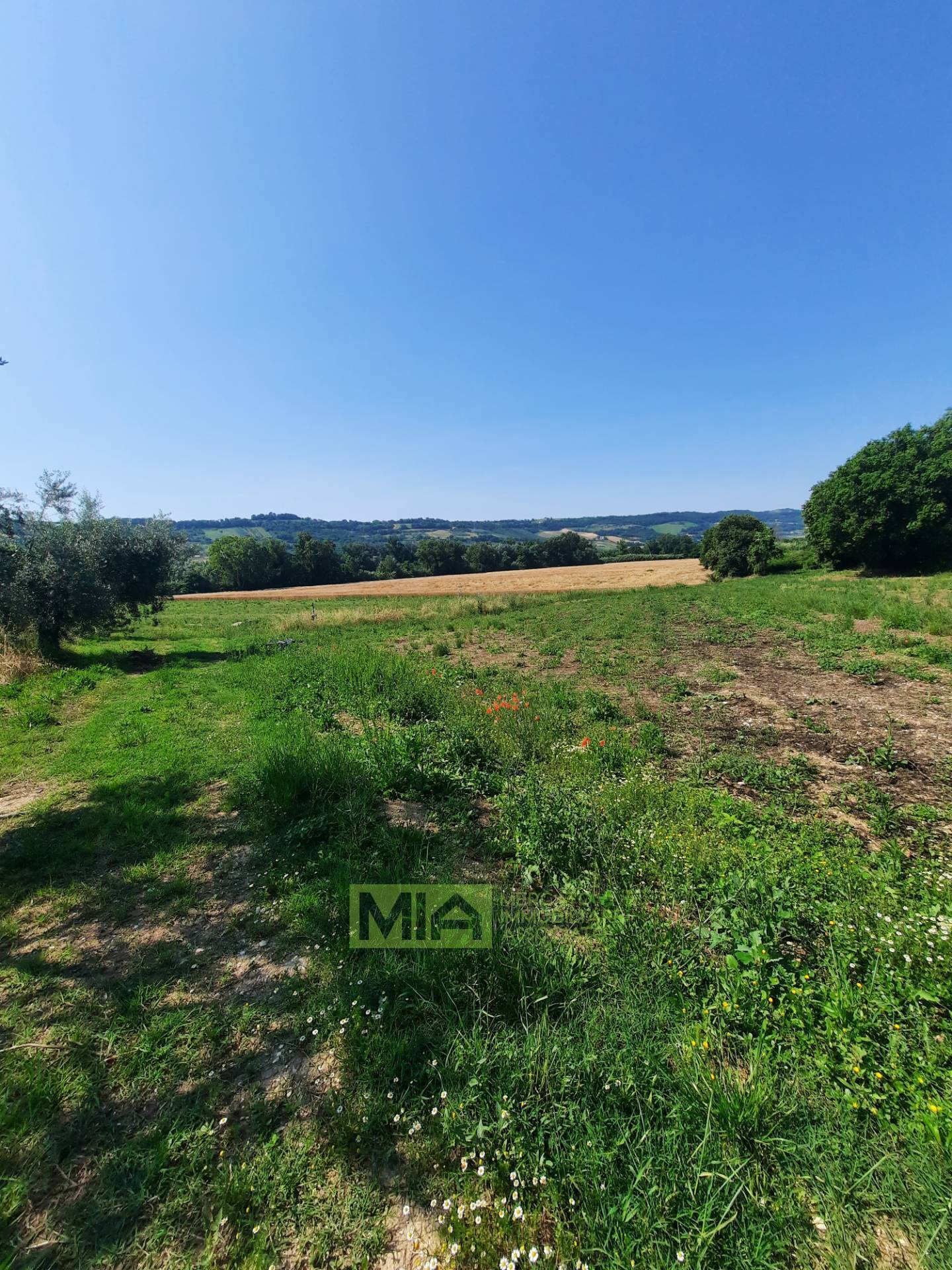 Terreno Agricolo in vendita a Altidona, Campagna