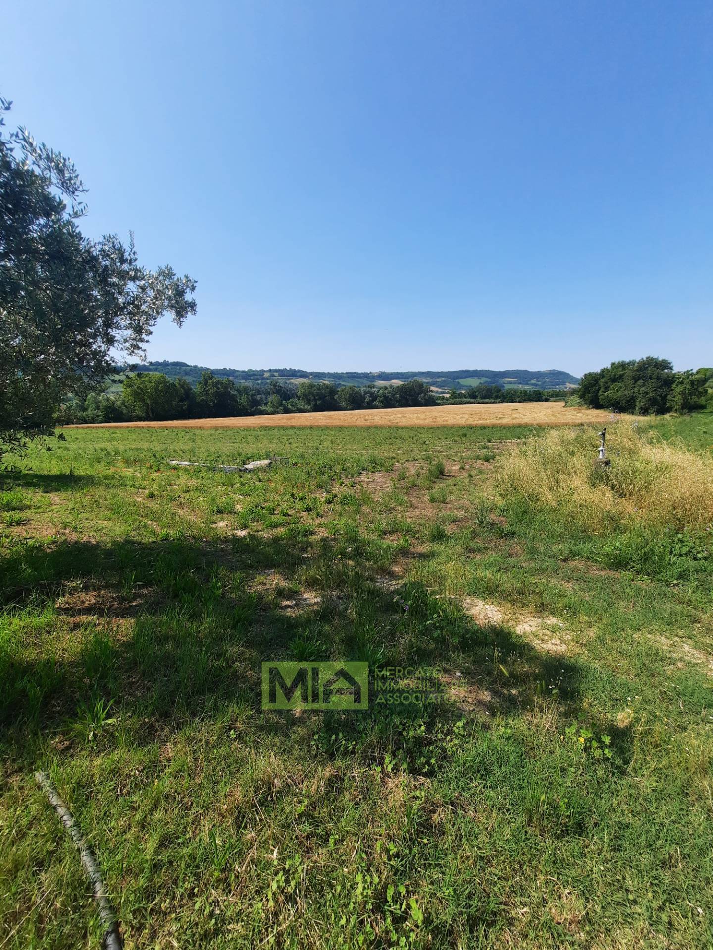 Terreno Agricolo in vendita a Altidona, Campagna