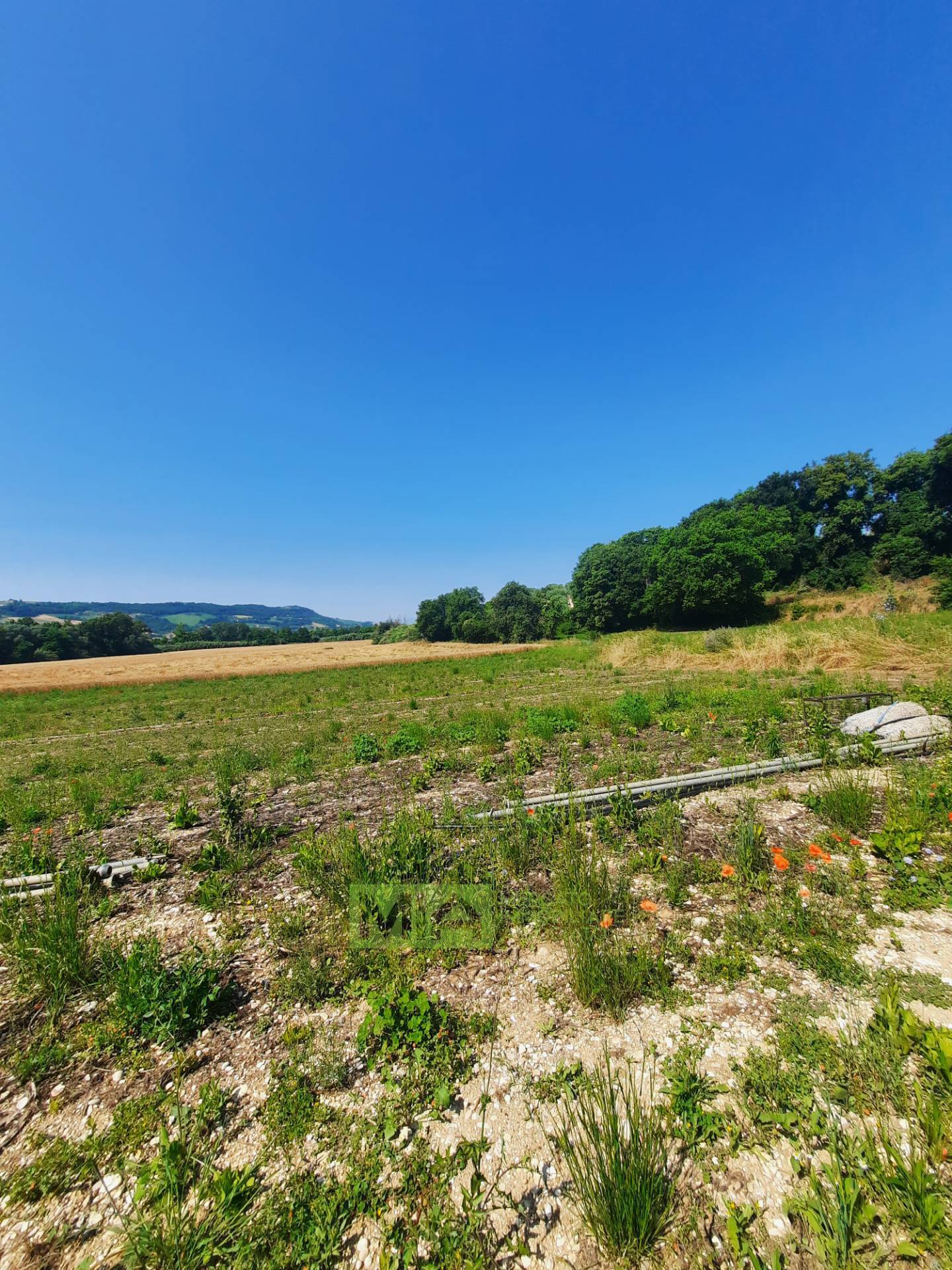 Terreno Agricolo in vendita a Altidona, Campagna