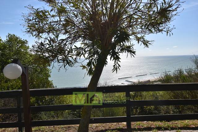 Attivita' in vendita a Pedaso, Campagna