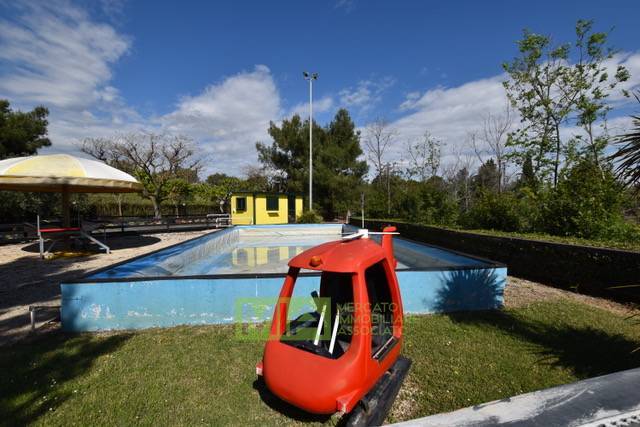 Attivita' in vendita a Pedaso, Campagna