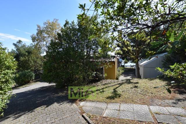 Attivita' in vendita a Pedaso, Campagna