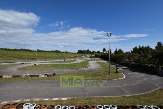 Attivita' in vendita a Pedaso, Campagna