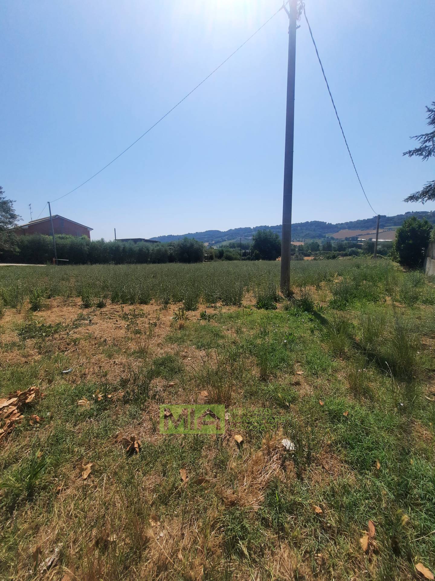 Terreno Agricolo in vendita a Altidona, Marina di Altidona