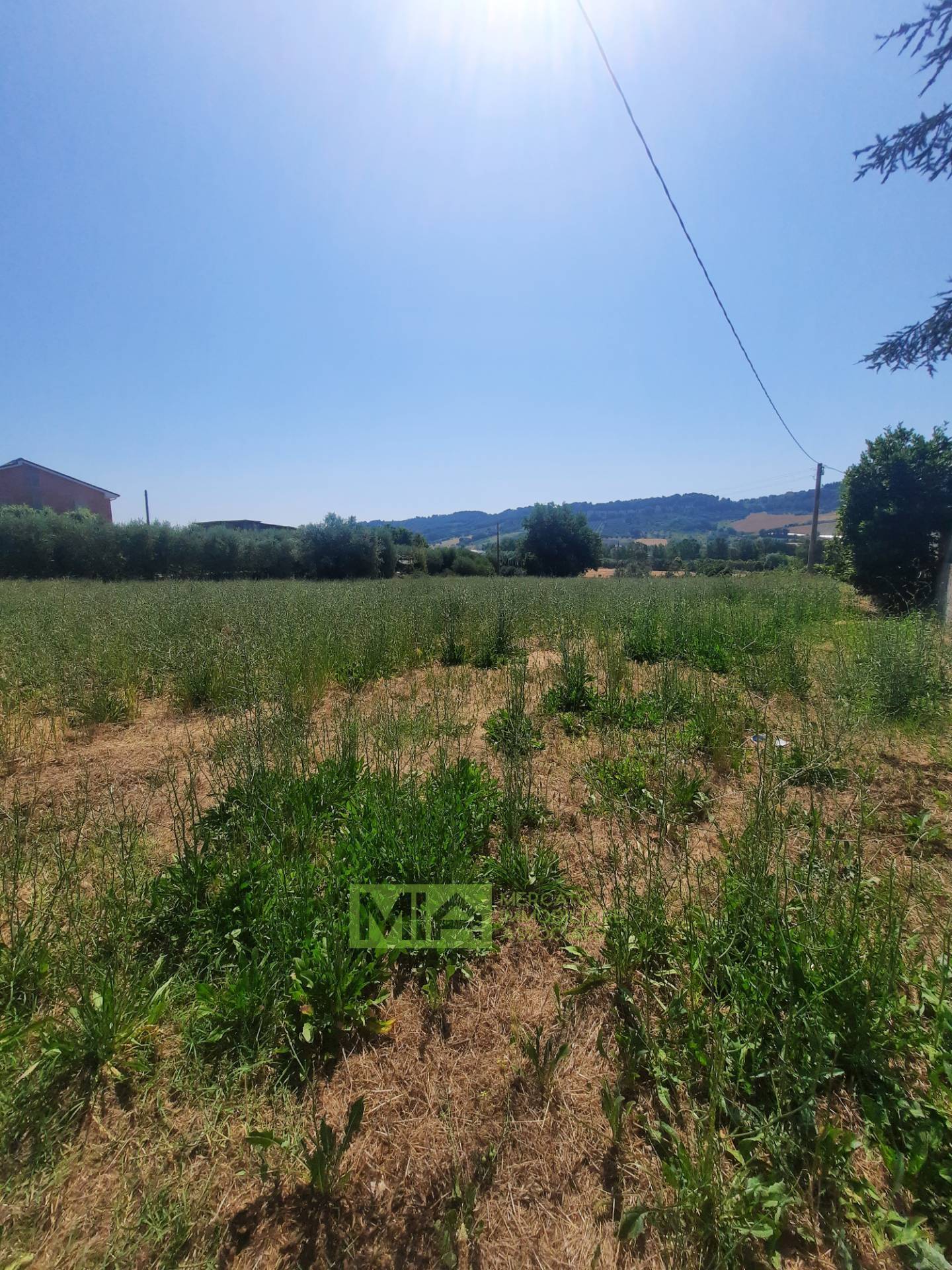 Terreno Agricolo in vendita a Altidona, Marina di Altidona