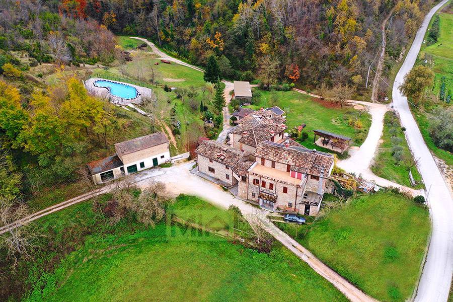 Attivit commerciale in affitto a Comunanza