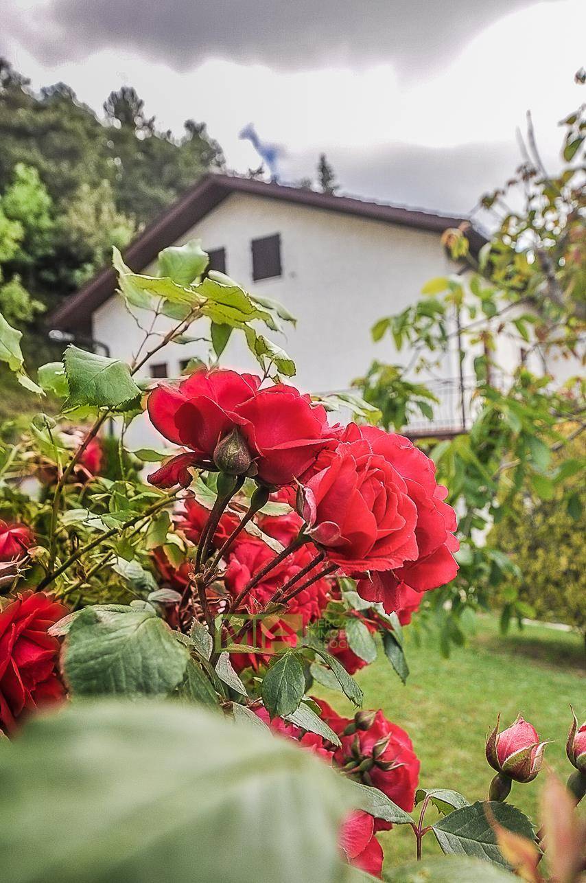 Casa singola in vendita a Force